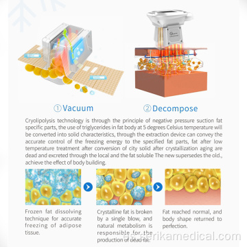 Máquina multifunción CRYO + LIPO LÁSER + 40K + RF MÁQUINA